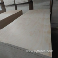 Pine Plywood